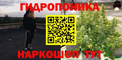 каннабис Кандалакша