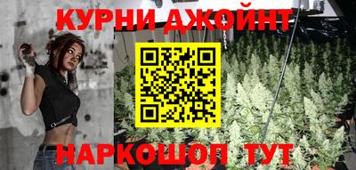 крисы Канаш