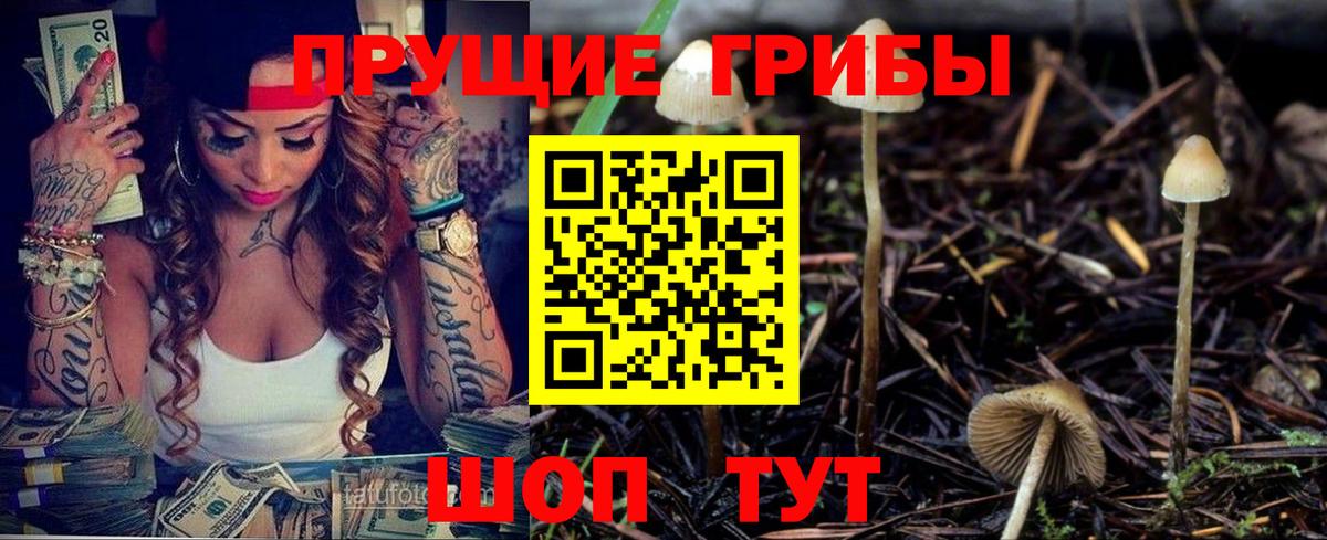 Курчалой  Псилоцибиновые грибы Cubensis  хочу   Галлюциногенные грибы прущие грибы  Вход с VPN 